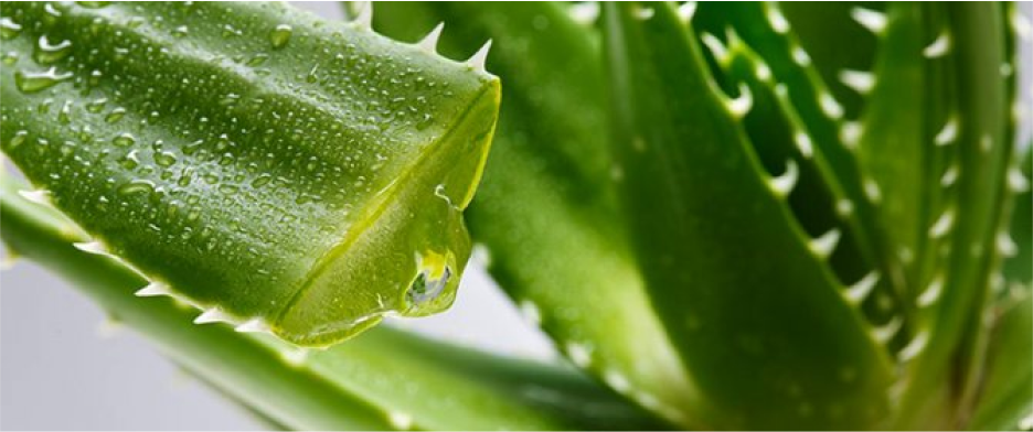 Только высококачественный листовой гель 